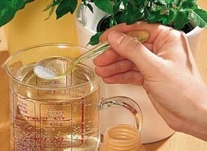 Лимонная кислота для полива комнатных растений