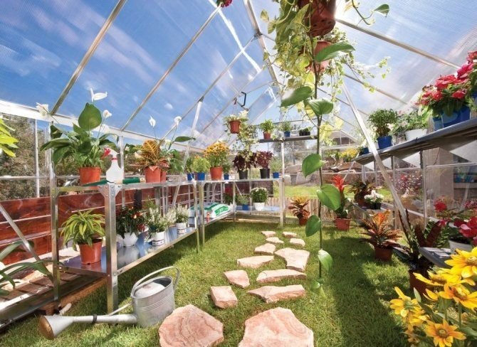 #greenhouse #sunroom #sunparlor #conservatory #greenery #glasshouse