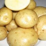 Чем хорош сорт картофеля Колобок и почему его так любят огородники