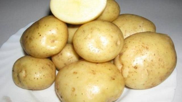 Чем хорош сорт картофеля Колобок и почему его так любят огородники