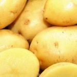 Картофель Лорх: характеристика, урожайность, отзывы