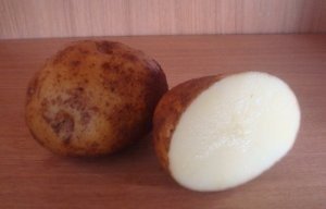 Сорт картофеля зорачка