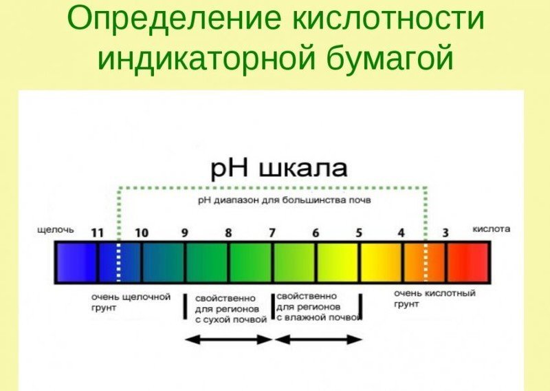 Ph шкала кислотности лакмусовая бумага