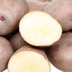 Особенности посадки картофеля Ильинский
