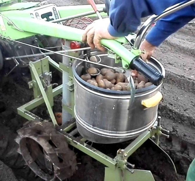 Картовелка сажалка для картофелямат аблок нива