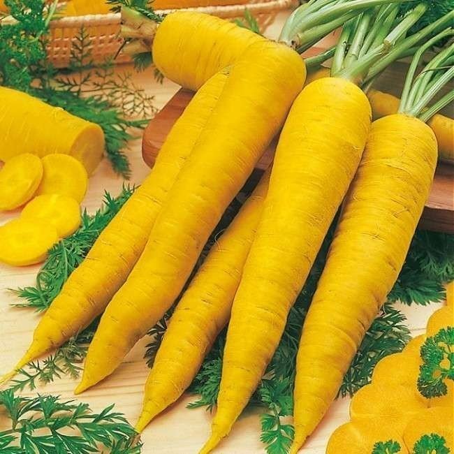 Морковь карамель желтая гавриш