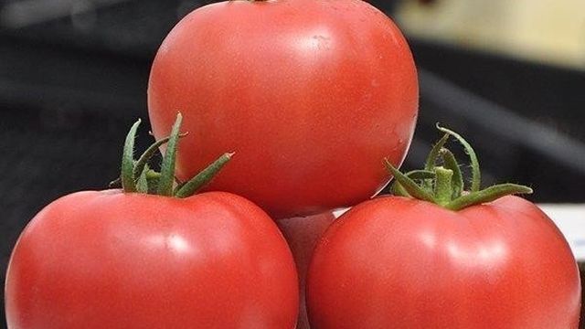 Израильский гибрид первого поколения — томат «Пинк Клер» f1