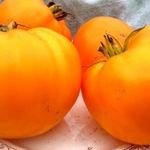 Оригинальный сорт с устойчивостью к жаре — томат Оранжевый Бой F1