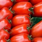 Сорт томата «Воловье Ухо»: фото, отзывы, описание, характеристика, урожайность