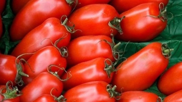 Фото, отзывы, описание, характеристика, урожайность сорта томата «Воловье Ухо»