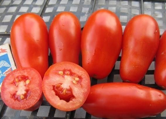 Семена томатов французский гроздевой