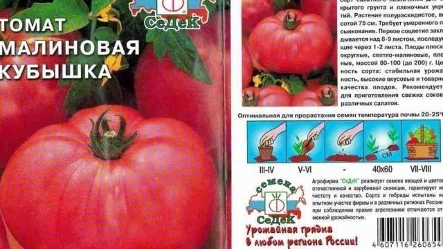 Томат Кубышка: характеристика и описание сорта, урожайность с фото