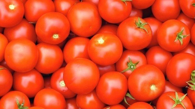Томат Бакинские: характеристика и описание крупноплодного сорта, отзывы об урожайности помидоров и калорийность плодов, фото и цена на семена