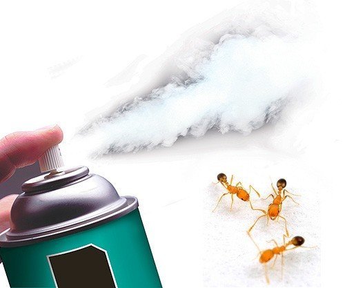 Сегодня существуют высокоэффективные инсектицидные аэрозоли, быстро уничтожающие муравьев