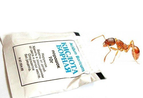Средство от муравьёв с борной кислотой