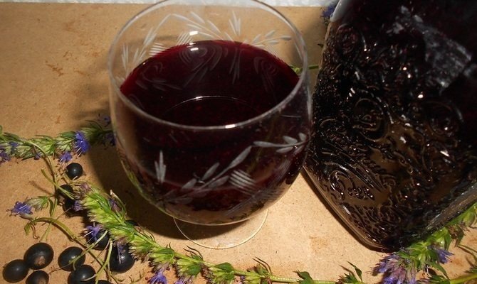 Вино из черноплодной рябины в домашних условиях простой рецепт