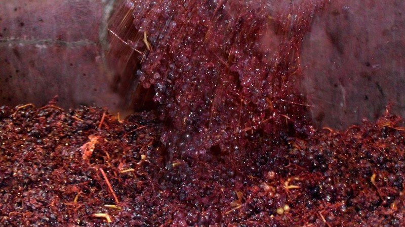 Гало-римский метод виноделия