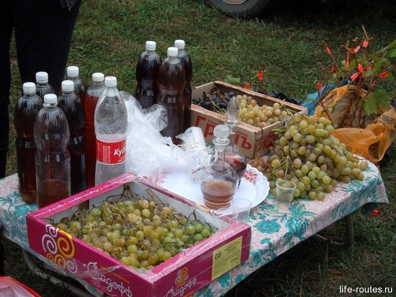 Донская лоза: фестиваль молодого вина