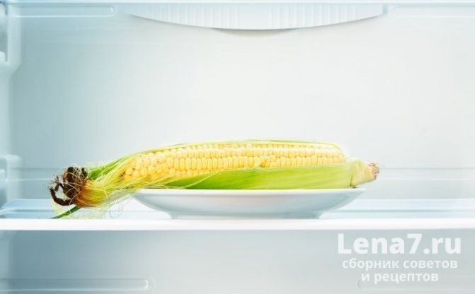 Початки кукурузы в холодильнике