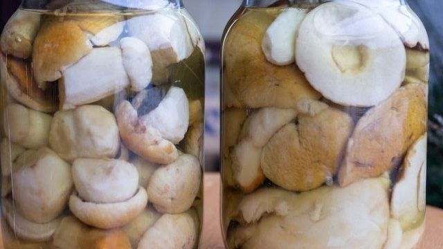 Маринованные белые грибы на зиму: как приготовить в банках, простые рецепты без стерилизации, фото и видео