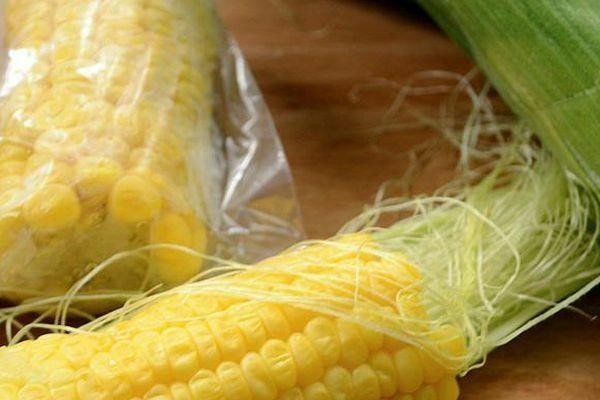 Початки кукурузы кукурузы