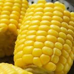 Мой секрет || Как правильно мариновать кукурузу: рецепты приготовления в домашних условиях