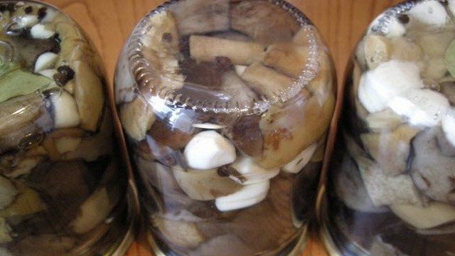 Способы заготовки грибов подосиновиков на зиму