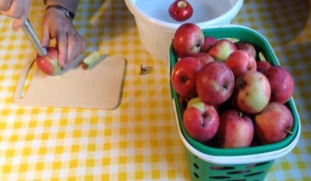 Сорта яблок для компота на зиму